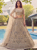 Beige Shiny Embroidered Net Reception Wear Lehenga Choli With Dupatta