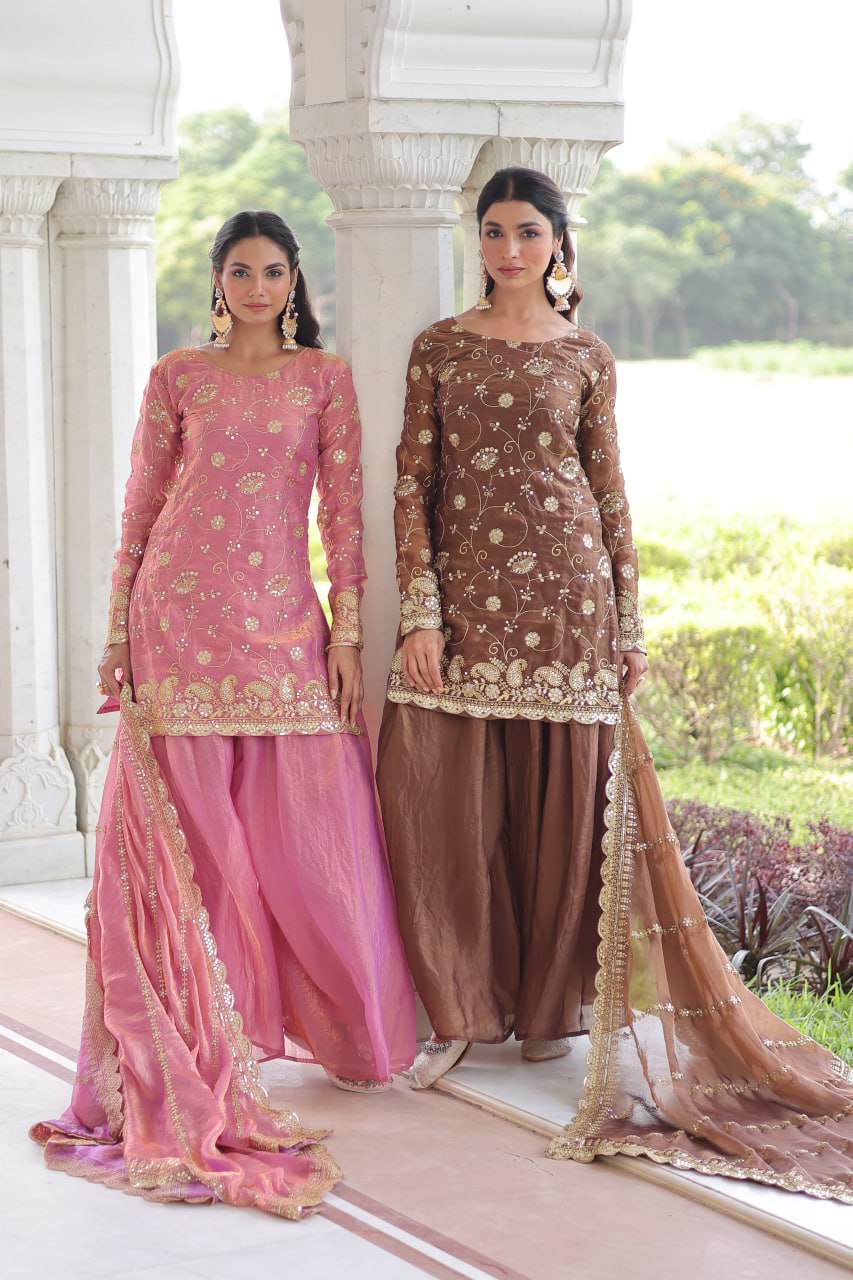 Organza Embroidered Salwar Kameez for Festive & Wedding