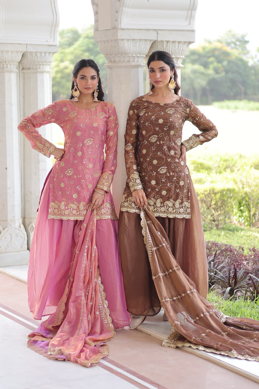 Organza Embroidered Salwar Kameez for Festive & Wedding