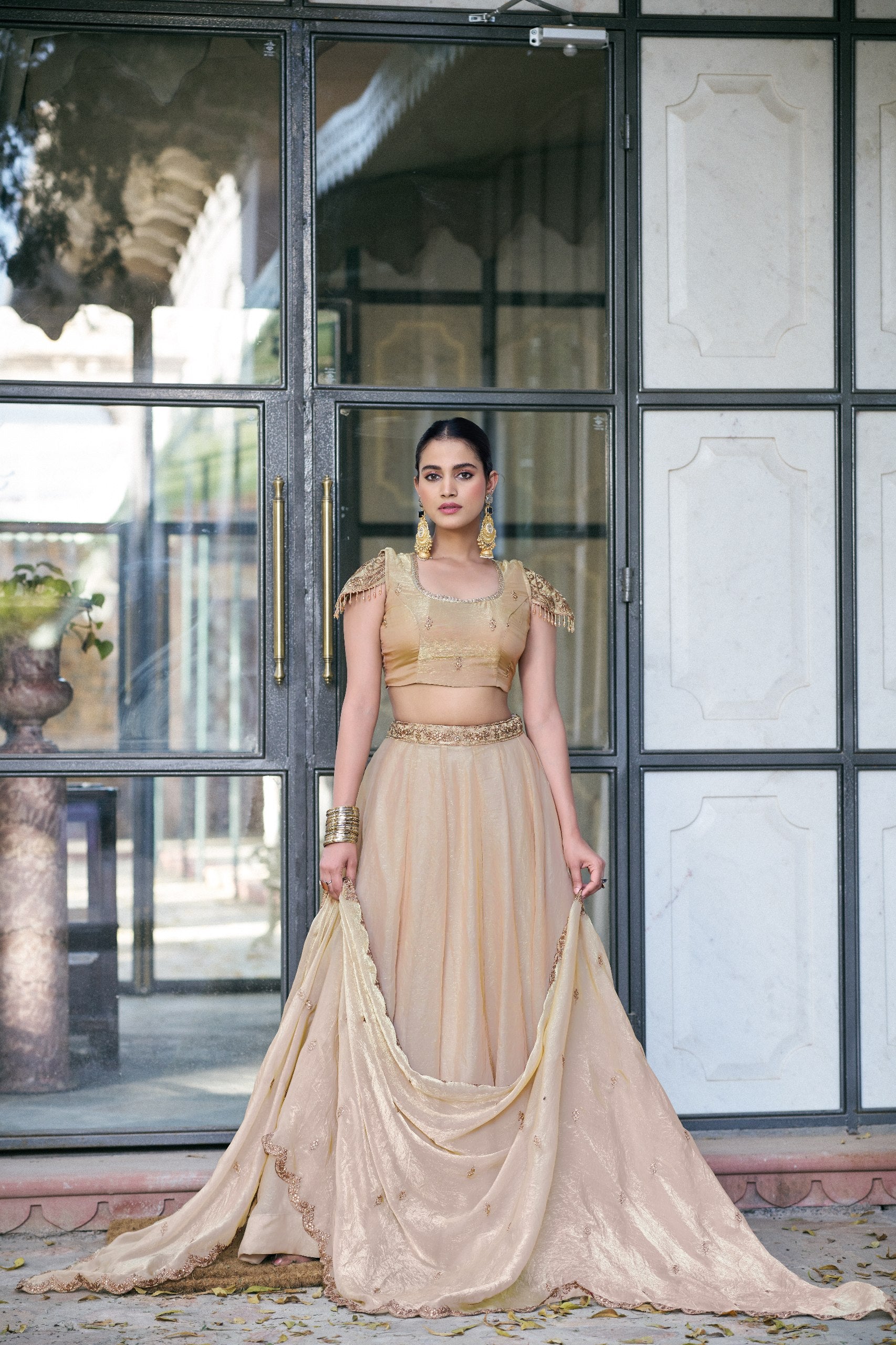 Organza Lehenga Choli with Sequins & Thread Embroidery for Parties