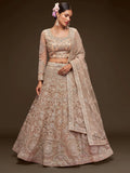 Sparkling Beige Embroidered Net Engagament Wear Plus Size Lehenga Choli