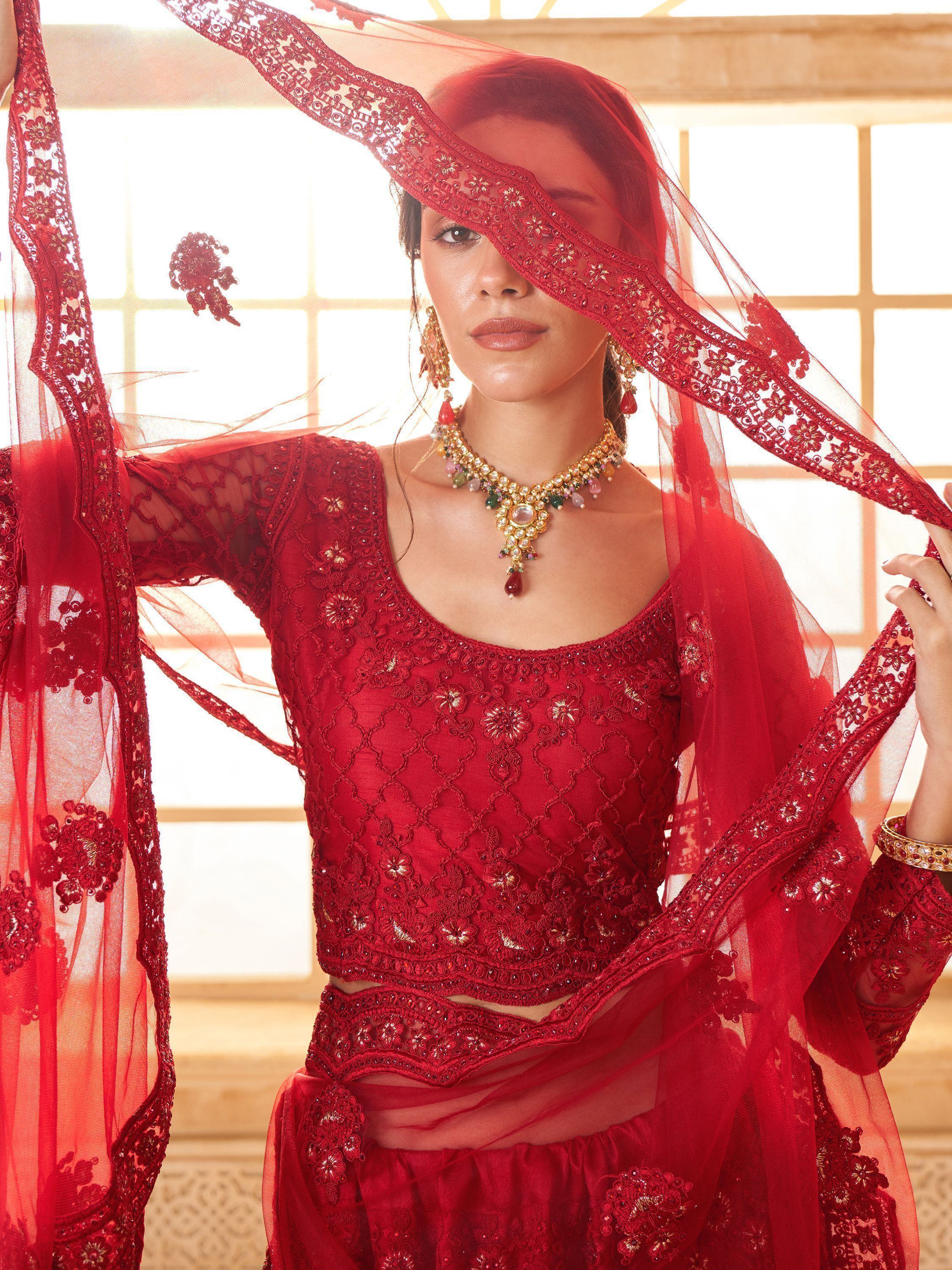 Awesome Red Embroidered Net Wedding Lehenga Choli With Dupatta