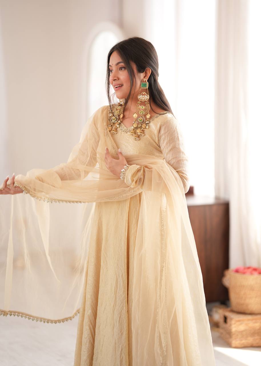 Doremon Crush Gown with Mirror Work Lace Border and Butterfly Net Dupatta