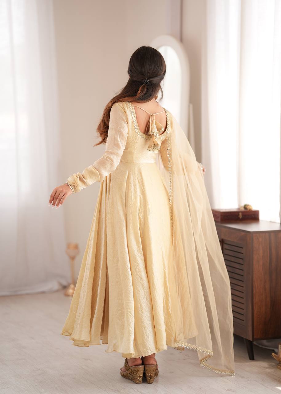 Doremon Crush Gown with Mirror Work Lace Border and Butterfly Net Dupatta