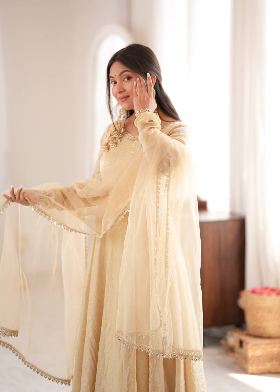 Doremon Crush Gown with Mirror Work Lace Border and Butterfly Net Dupatta