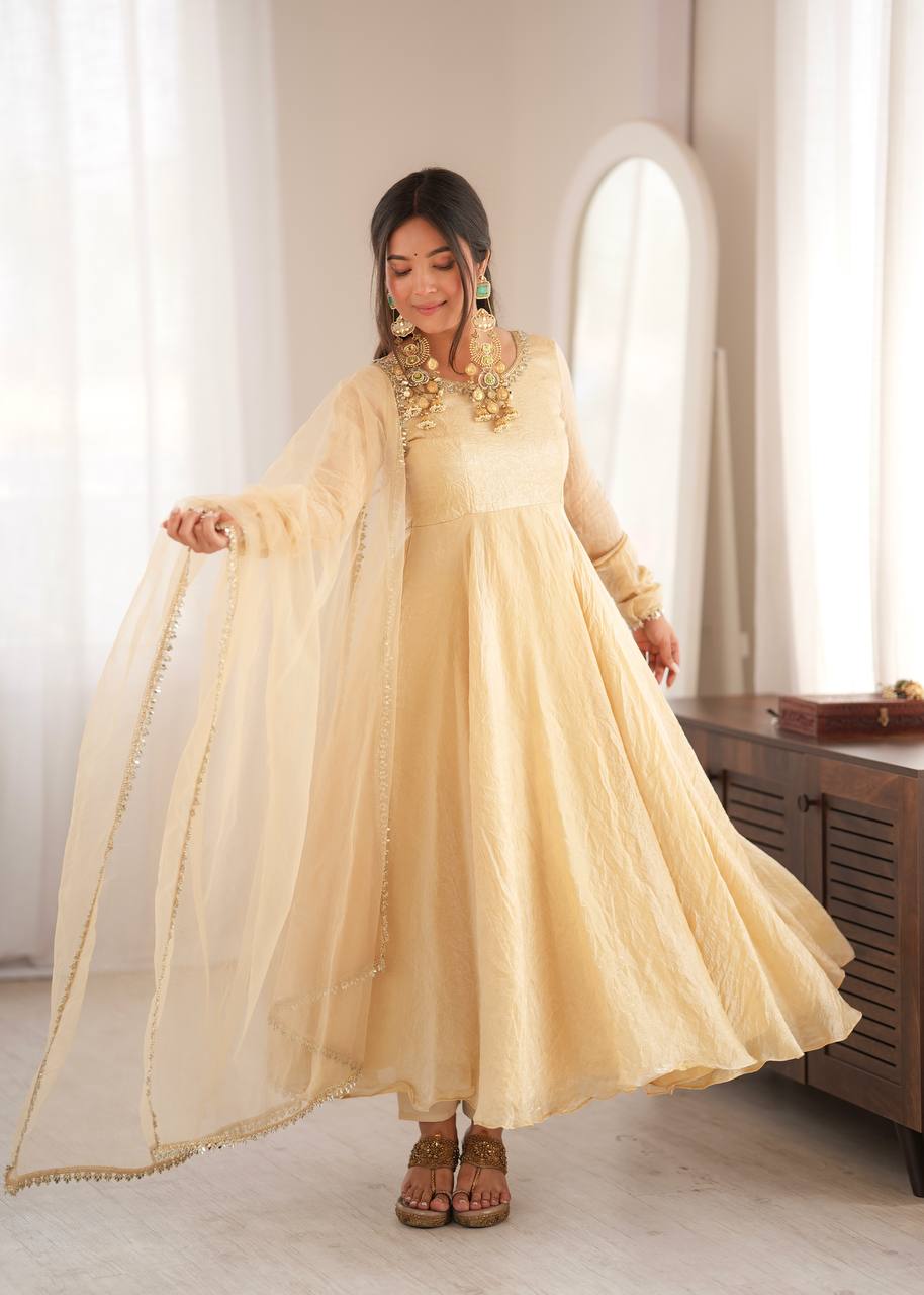 Doremon Crush Gown with Mirror Work Lace Border and Butterfly Net Dupatta