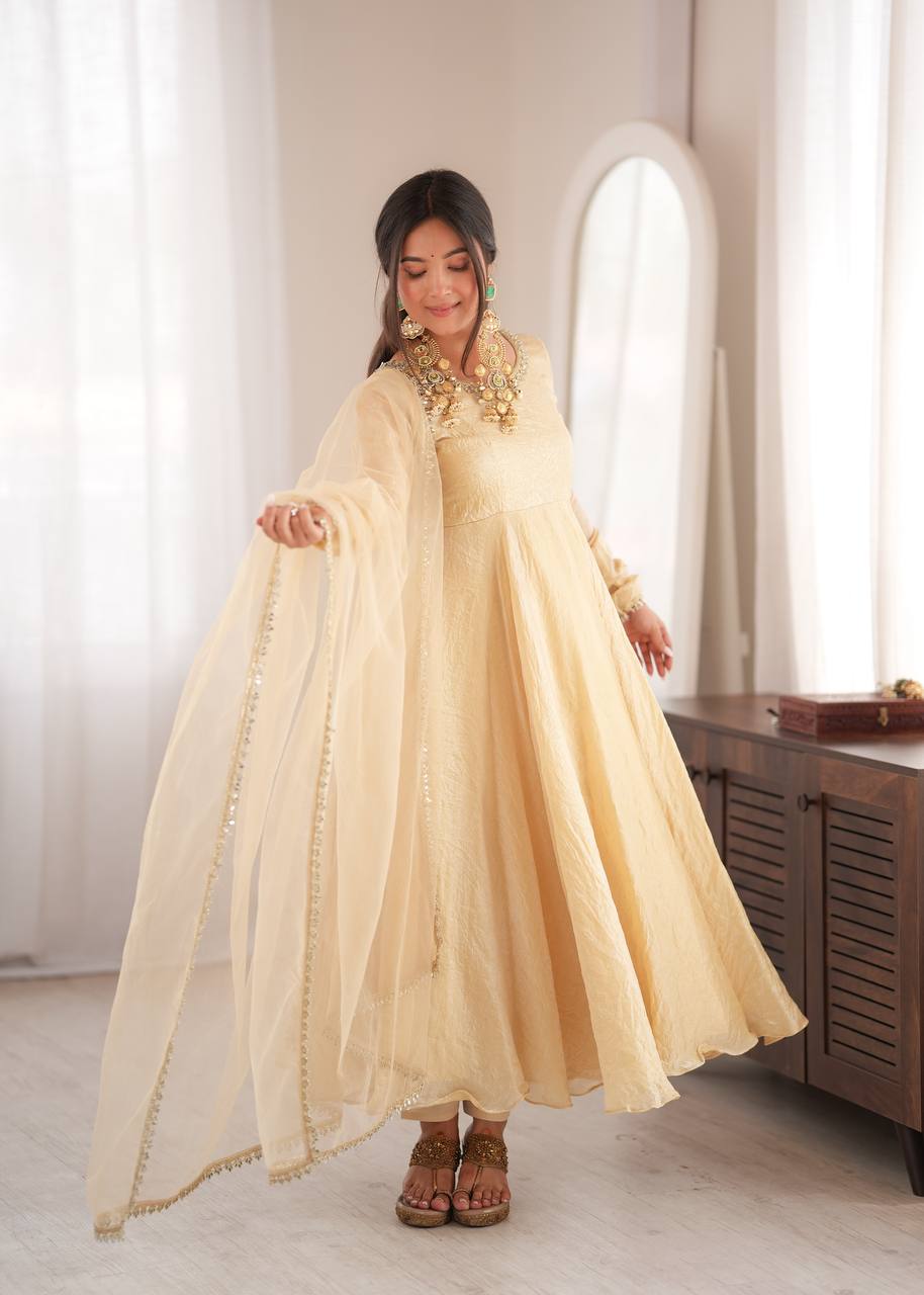 Doremon Crush Gown with Mirror Work Lace Border and Butterfly Net Dupatta