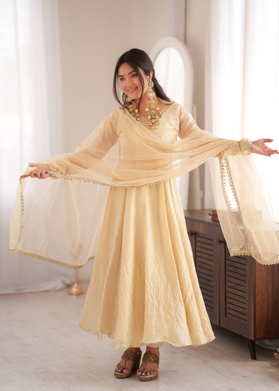 Doremon Crush Gown with Mirror Work Lace Border and Butterfly Net Dupatta