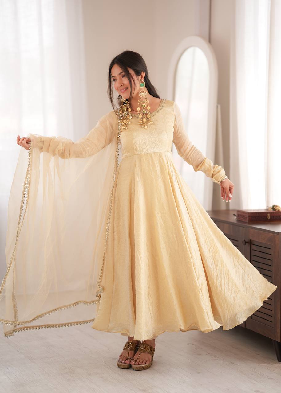 Doremon Crush Gown with Mirror Work Lace Border and Butterfly Net Dupatta