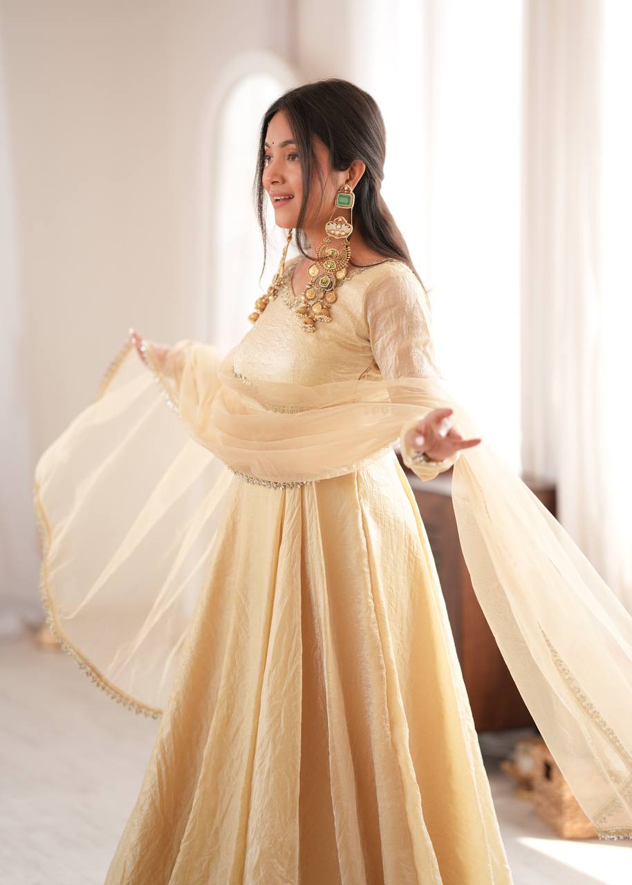 Doremon Crush Gown with Mirror Work Lace Border and Butterfly Net Dupatta