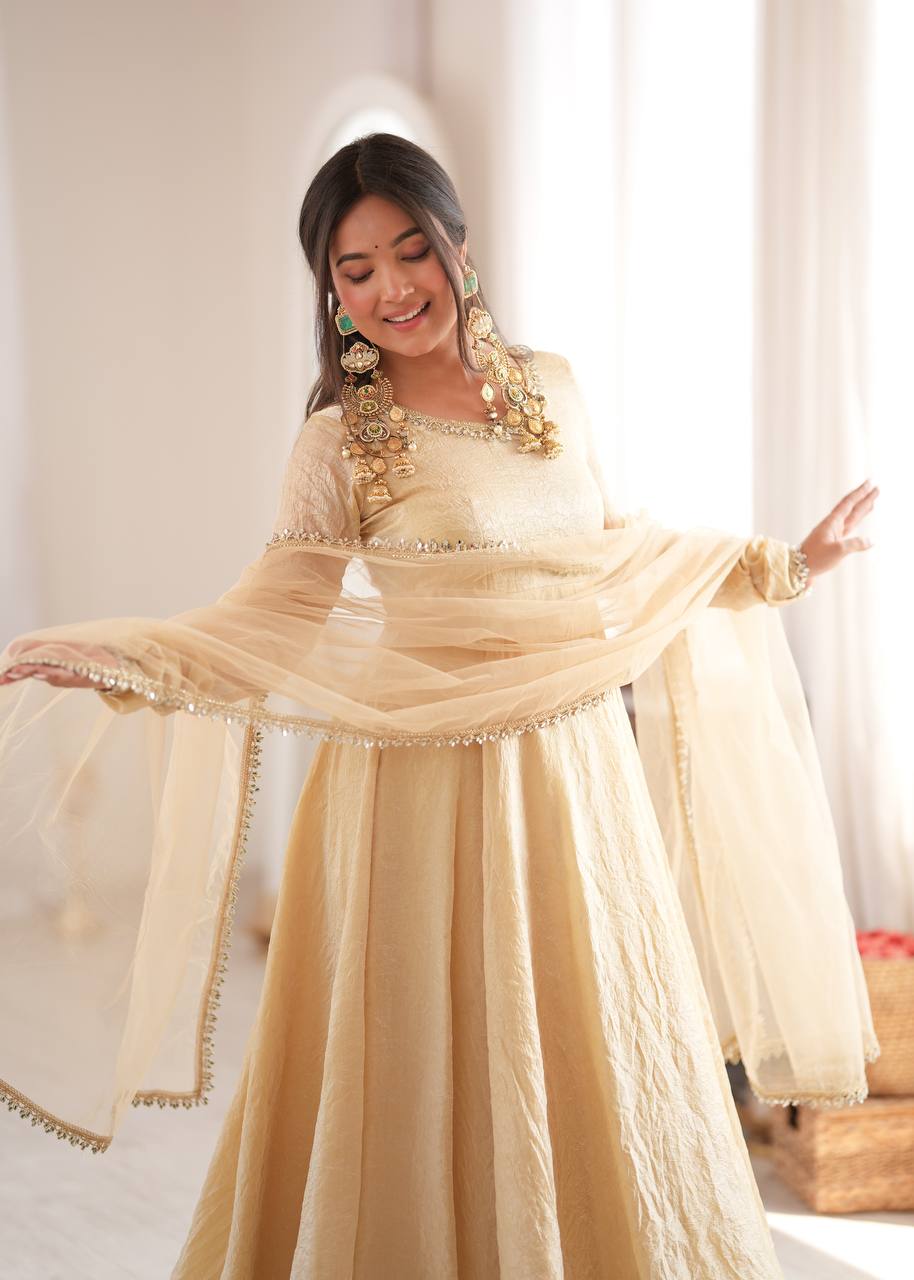 Doremon Crush Gown with Mirror Work Lace Border and Butterfly Net Dupatta