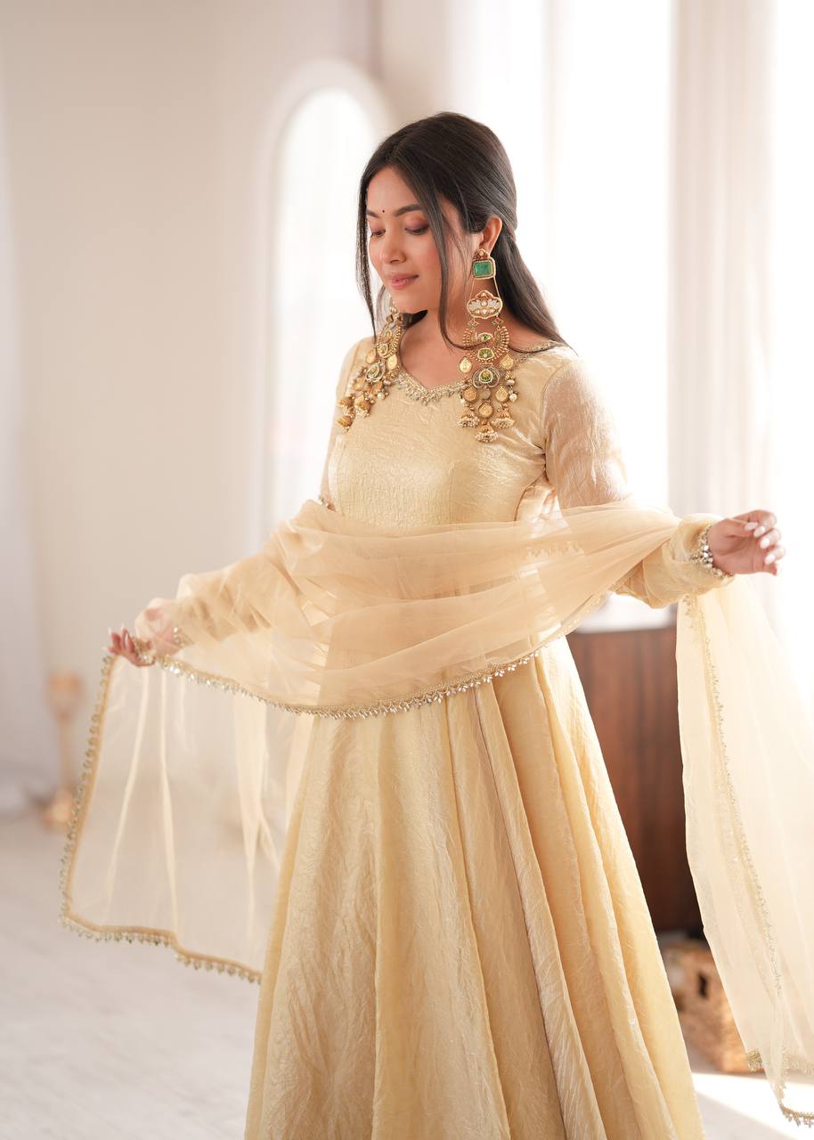 Doremon Crush Gown with Mirror Work Lace Border and Butterfly Net Dupatta