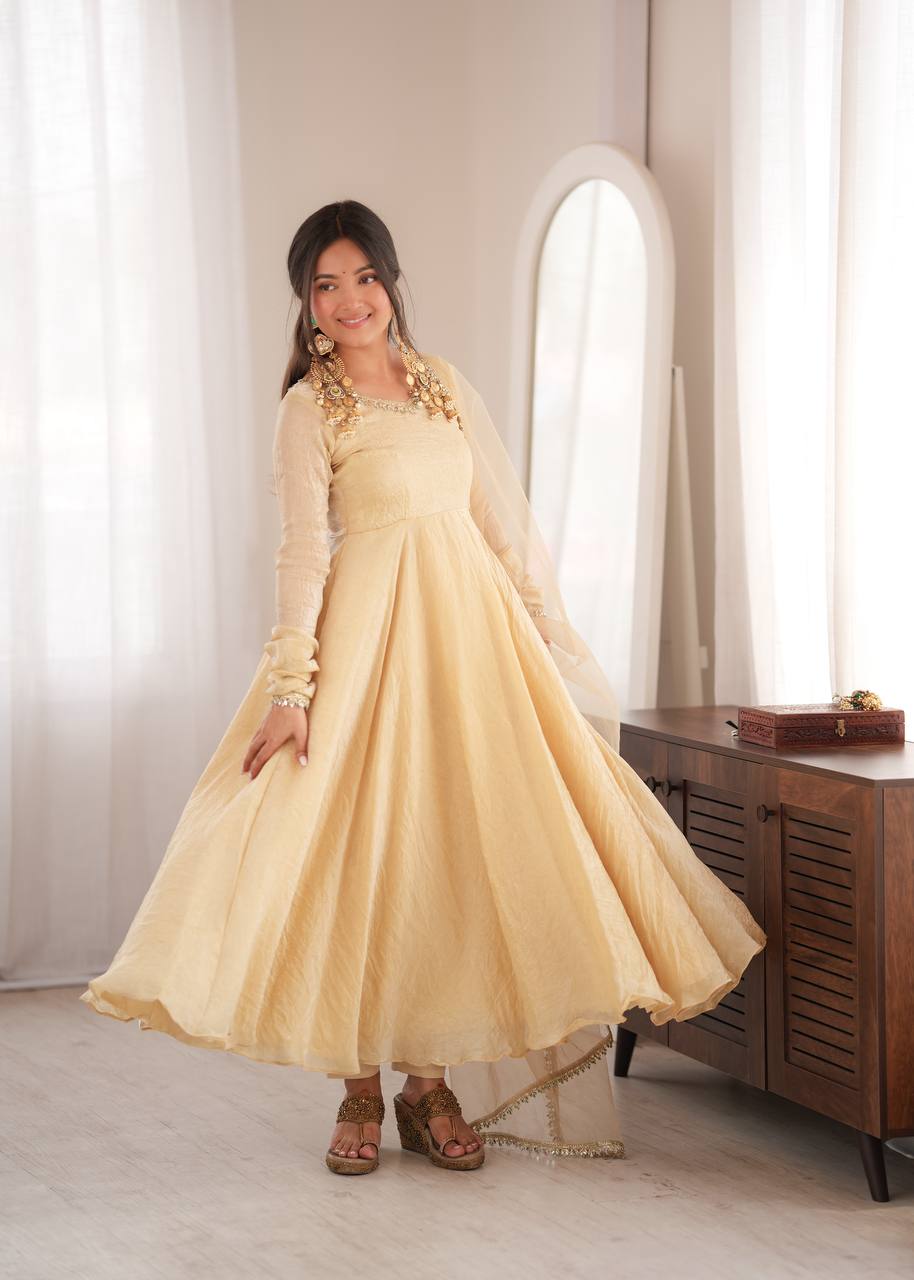 Doremon Crush Gown with Mirror Work Lace Border and Butterfly Net Dupatta