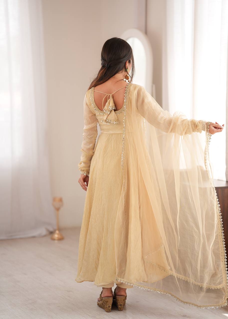 Doremon Crush Gown with Mirror Work Lace Border and Butterfly Net Dupatta