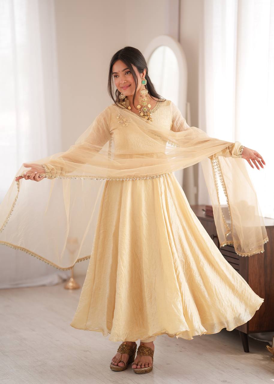 Doremon Crush Gown with Mirror Work Lace Border and Butterfly Net Dupatta
