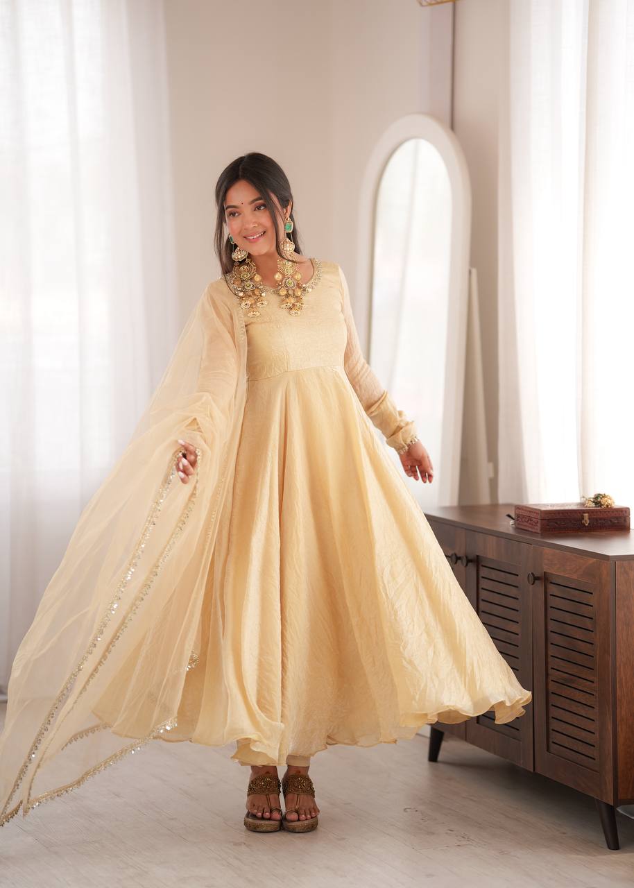 Doremon Crush Gown with Mirror Work Lace Border and Butterfly Net Dupatta