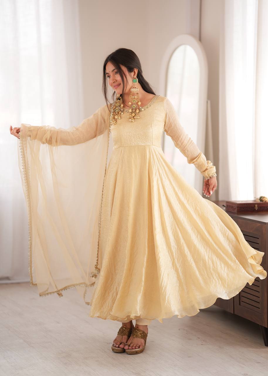 Doremon Crush Gown with Mirror Work Lace Border and Butterfly Net Dupatta
