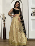 Gorgeous Black Sequins Silk Function Wear Lehenga Choli With Dupatta
