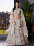 Marvelous Grey Jarkan Work Lehenga Choli With Organza Dupatta