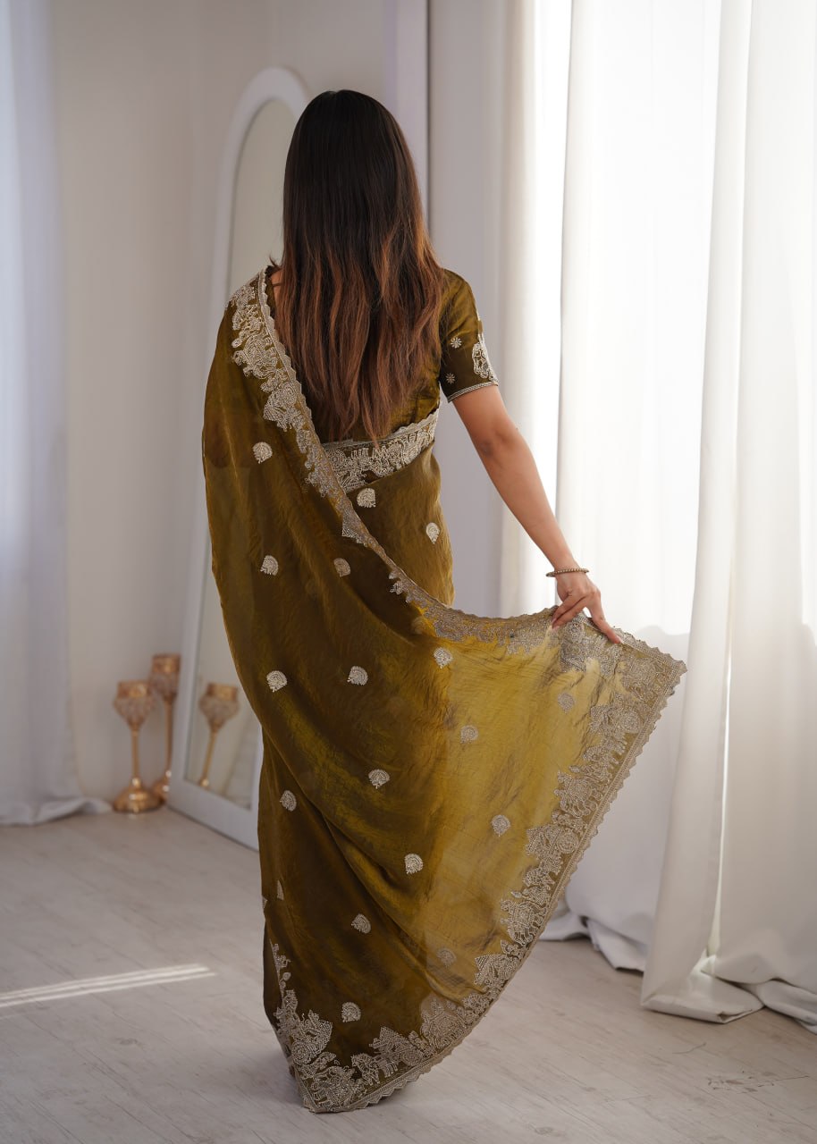 Fendy Crush Zari Embroidered Saree