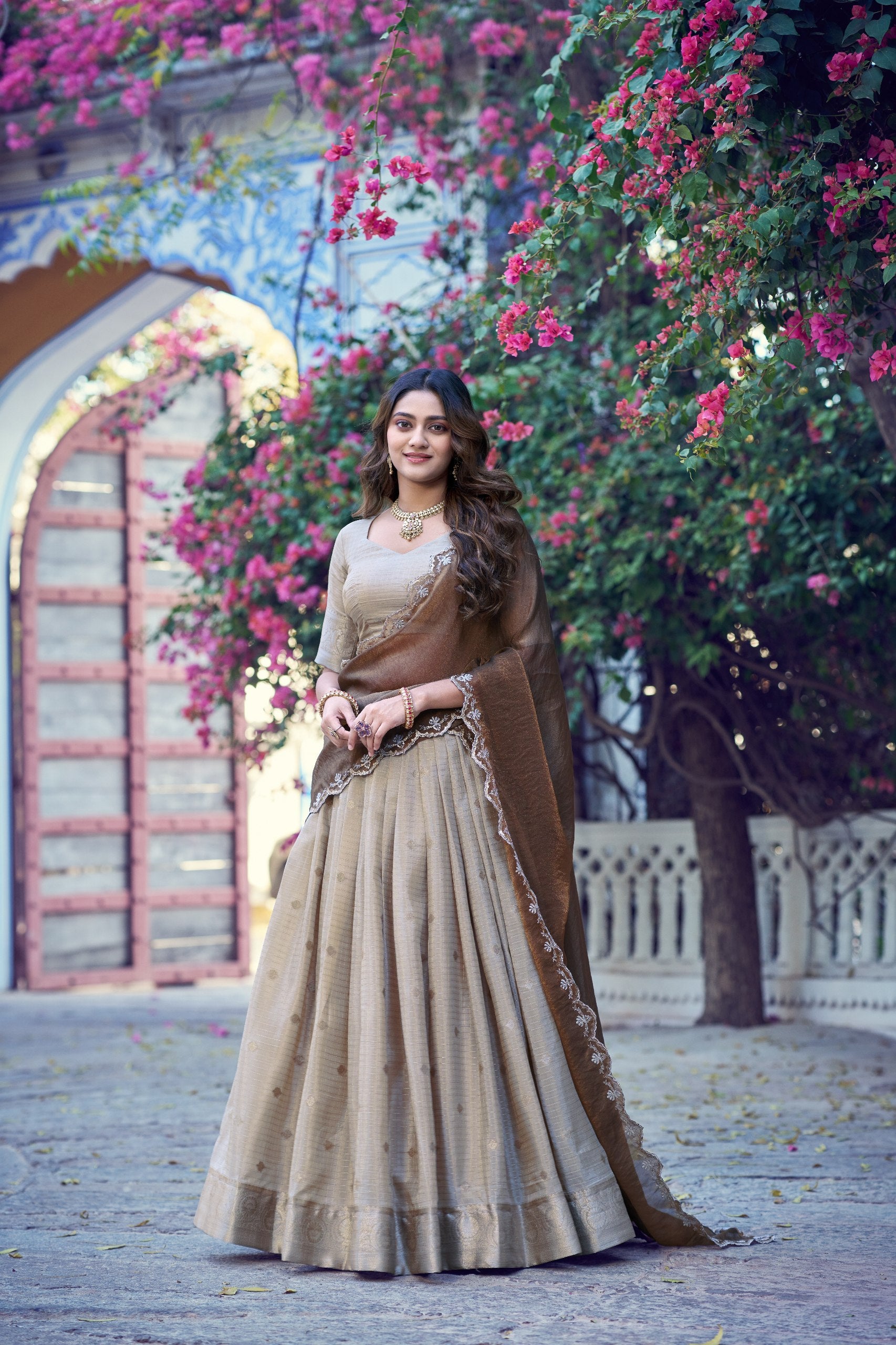 Shreevani Chinon Checks Lehenga Choli